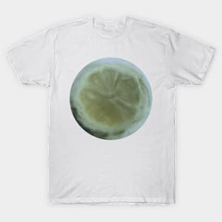 Lemon Slice - Watercolour T-Shirt